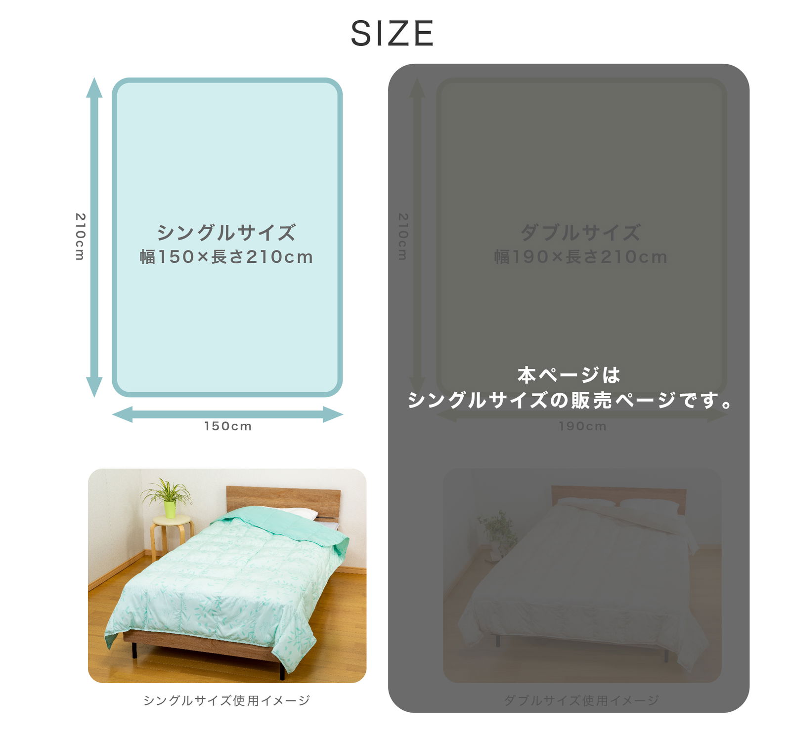 サイズ