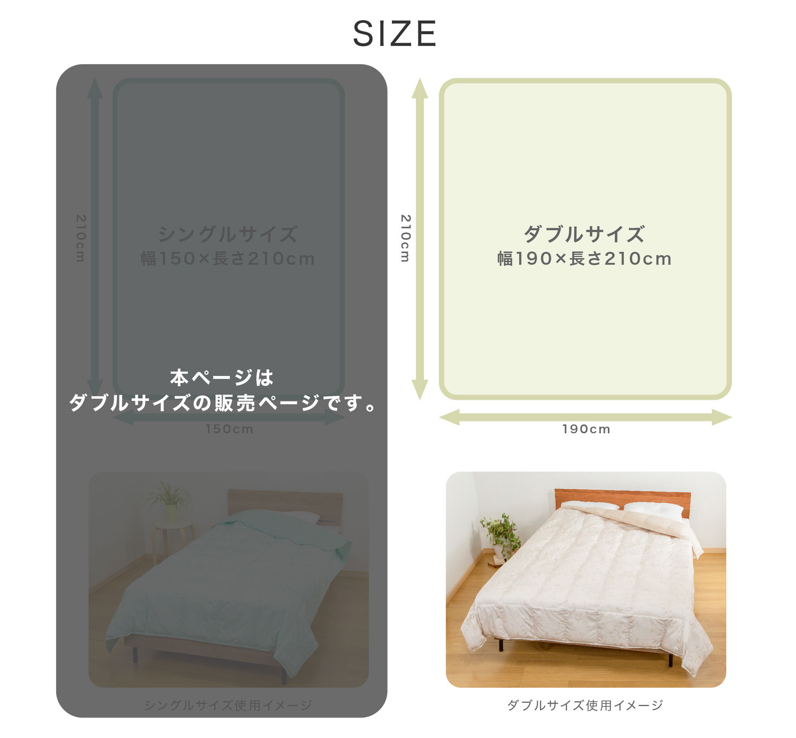 サイズ
