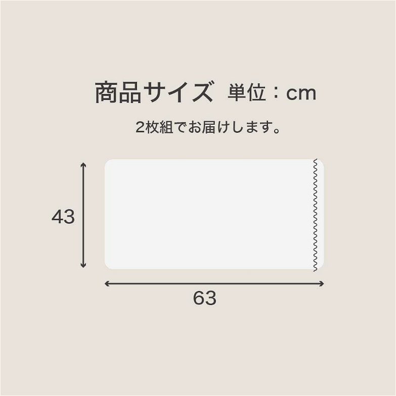 防ダニ 東洋紡（R）アルファインピロケース2枚セット　43×63cm日本製 防ダニ 防花粉 速乾 薬剤 薬品 不使用 超極細繊維 高密度 国産