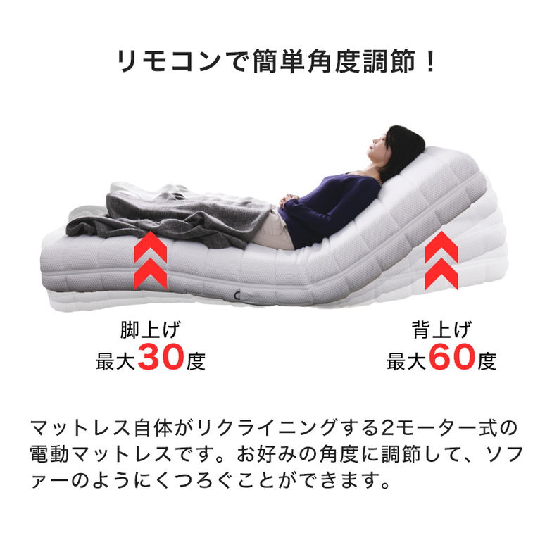 フランスベッド リクライニングベッド 電動マットレス シングル RP-1000W ルーパームーブ 2モーター 無段階調整 リモコン操作