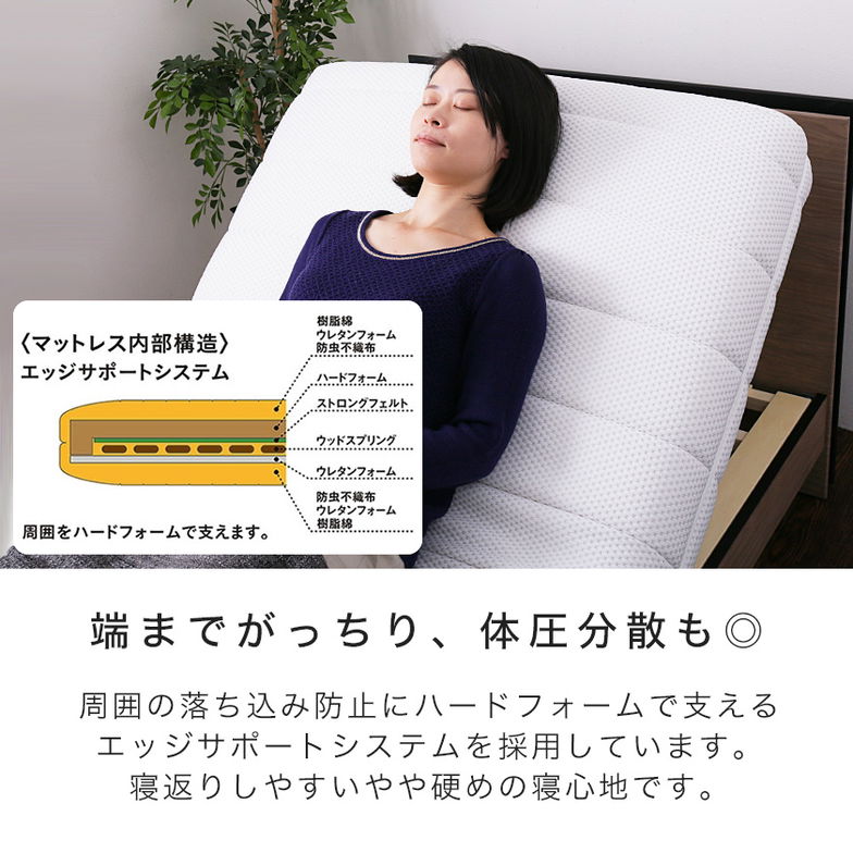 フランスベッド リクライニングベッド 電動マットレス シングル RP-1000W ルーパームーブ 2モーター 無段階調整 リモコン操作