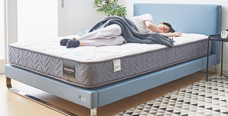 フランスベッド マットレス ダブル 2年保証 寝返りしやすい 通気性良い 防ダニ 抗菌 防臭 ツインサポート