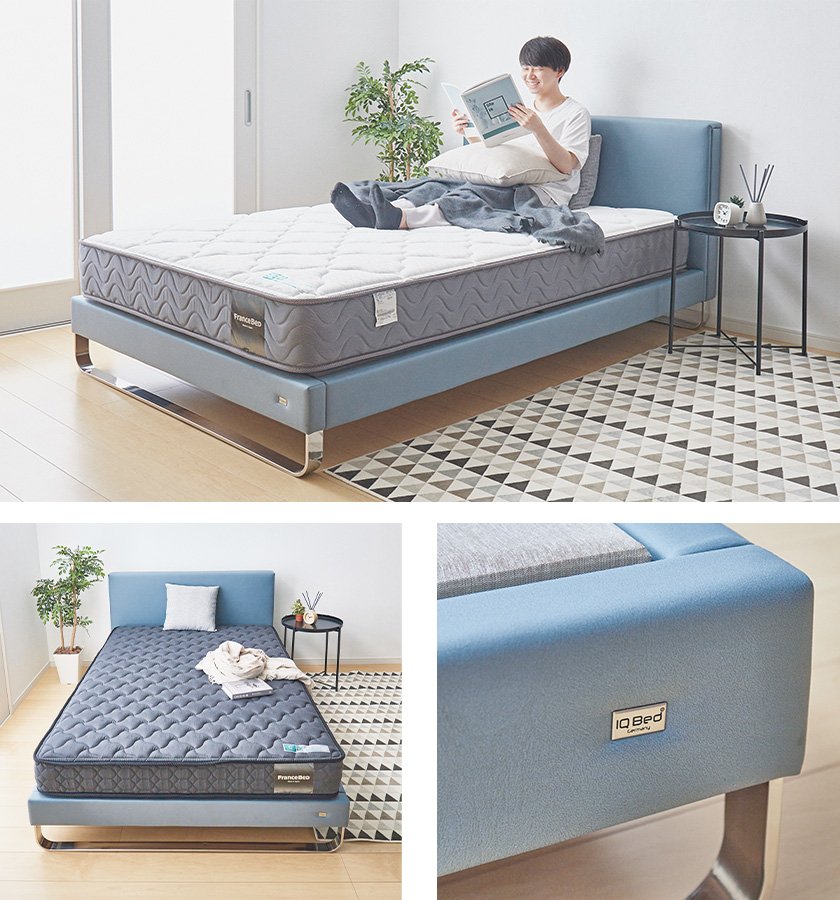 FRANCE BED(フランスベッド) ダブルベッド【トレファク岸和田店】 - ベッド