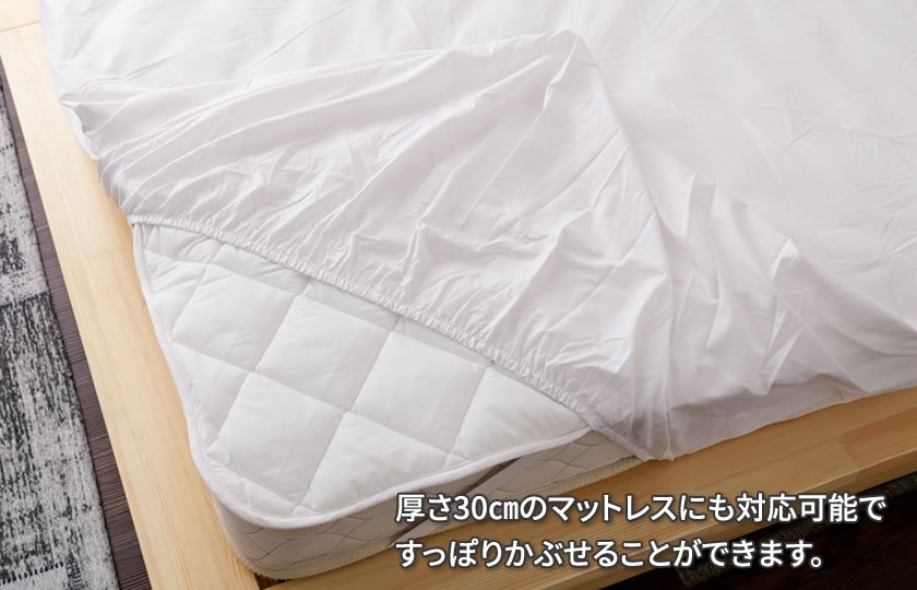 フランスベッド ウォッシャブルリープセット 3点パック シングル ベッドパット マットレスカバー2枚と洗濯ネット付 洗濯可能