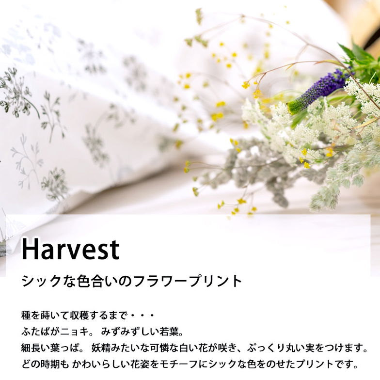 掛布団カバー ダブル ハーベスト Harvest コンフォーターカバー コットン100％　全開式サイドファスナー式 ズレ防止ひも付き 
