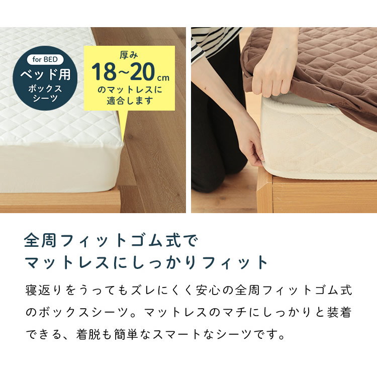ジュリーアダムス 天竺ニット(綿100％) 抗菌防臭中わた入りボックス