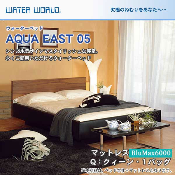 ウォーターベッド【送料無料 開梱 組立設置無料】AQUA EAST05 アクアイースト05(マットレス BluMax6000)クィーン(Q)【ウォーターワールド WATER WORLD】(ウォタベッド ウォーターベット(防腐剤1本無料プレゼント中) マットレス 【受注生産品】