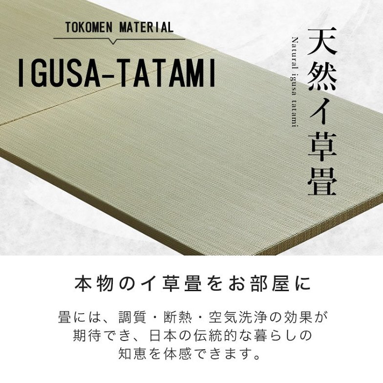 アダン ヴィンテージ調 ヘッドレス 畳ベッド ダブル 縁なし畳タイプ  IRON×WOOD×TATAMI 木製 アイアン い草畳  ベッド おしゃれ