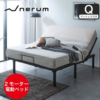 発送もOK】【フランスベッド】手動式 介護用ベッド 9000 射し込ん 専用  