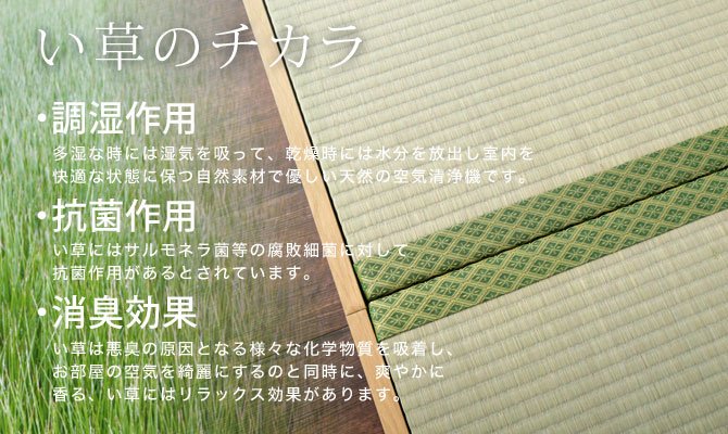 畳ベッド い草張り収納ベッド シングル S 100%天然い草 桐すのこ 木製 床板取っ手付き ヘッドレス 国産 日本製 ブラウン ナチュラル