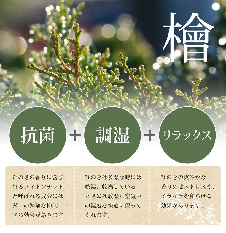 島根・高知四万十産檜すのこベッド セミダブル 幅122×長さ212×高さ71cm 国産 ひのき 宮付き コンセント2口付き 高さ4段階調節 木製